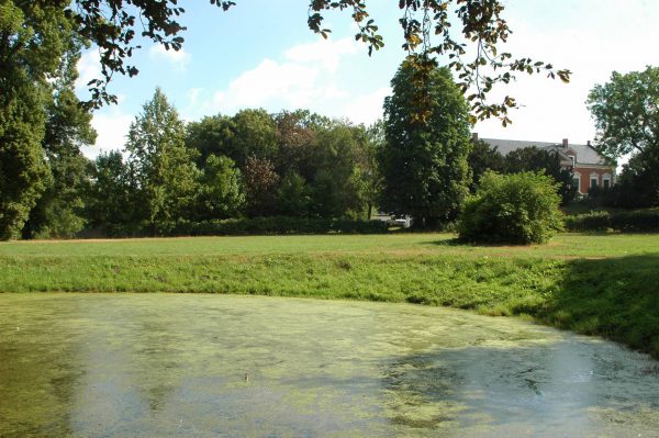 Gemeinde-Neddemin