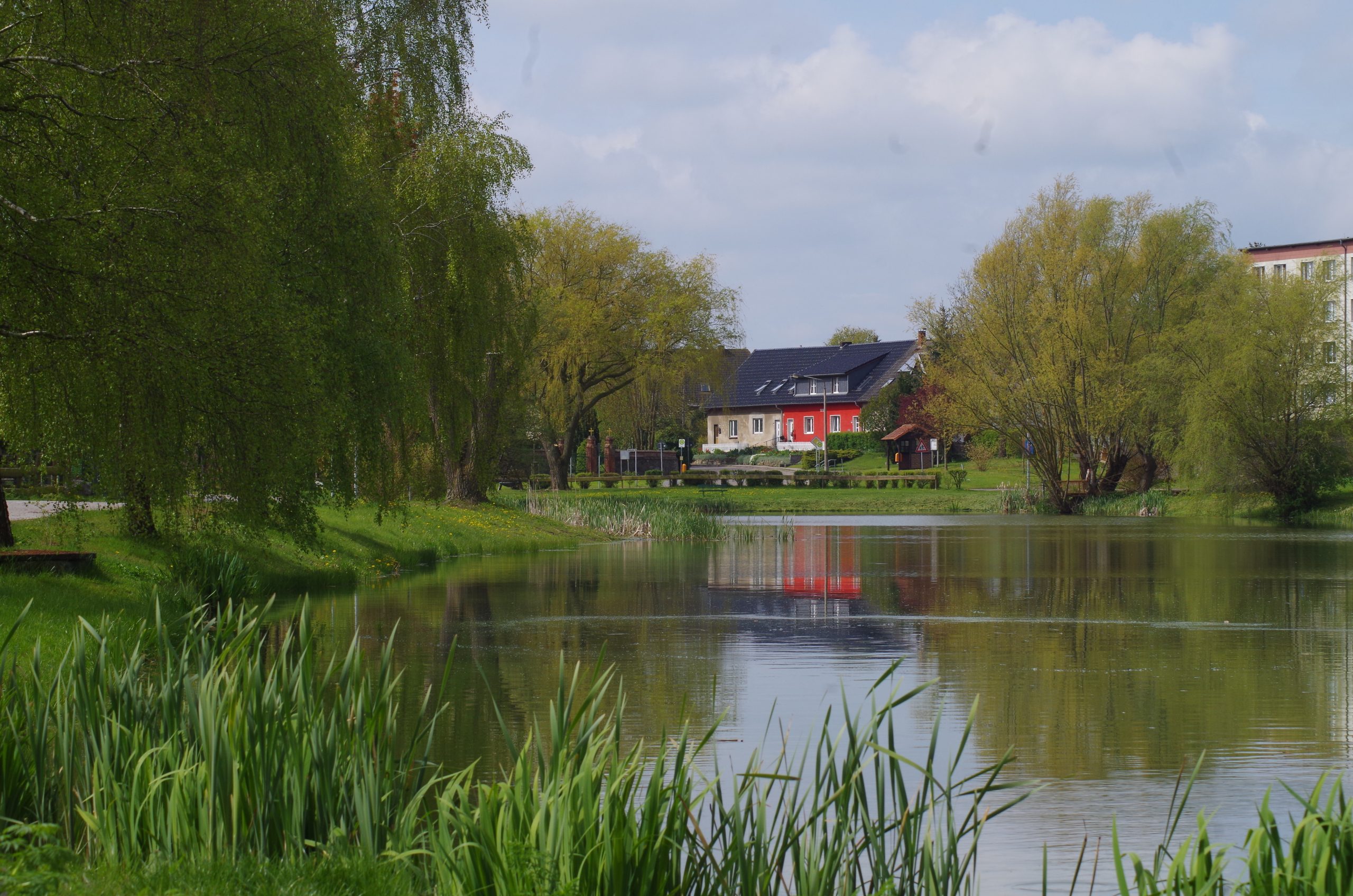 Zirzow-Teich