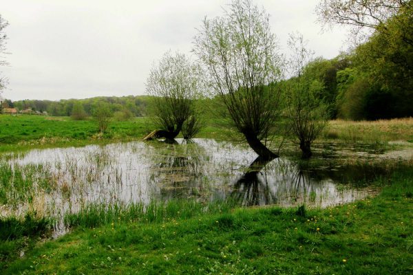 wulkenzin-landschaft